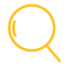 Data analysis and data quality services
